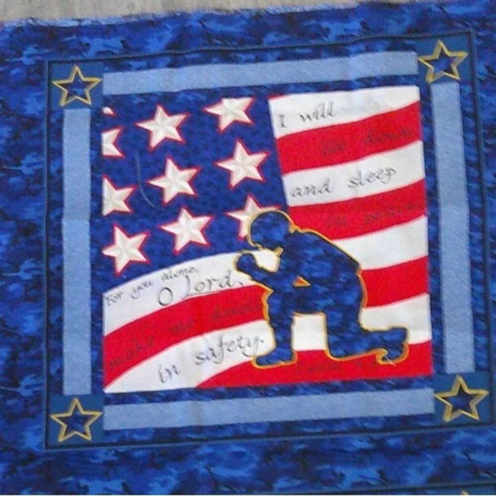 Patriotic 4th of July Fabric * Sewing * Quilting * Pillows * Crafts * F212 ak